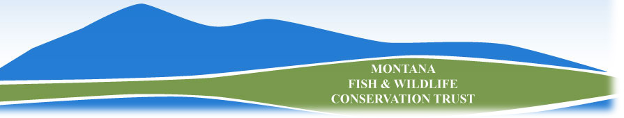 Montana Fish & Wildlife Conservation Trust