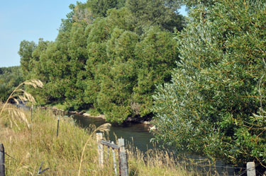 Photo of Big Spring Creek