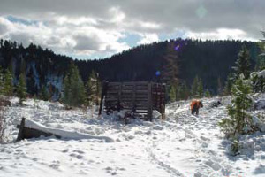 Photo of Blackfoot Community Conservation Area