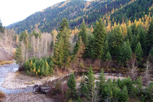 Photo of Cedar Creek