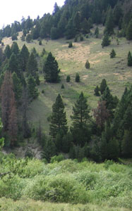 Photo of German Gulch Watershed