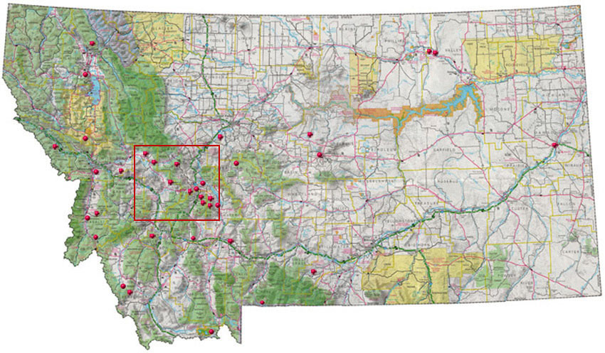 State of Montana Map